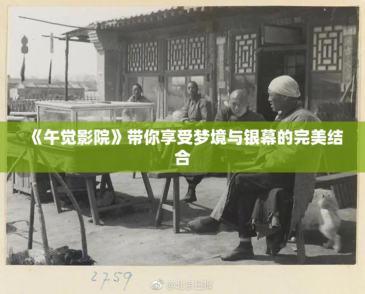 《午觉影院》带你享受梦境与银幕的完美结合