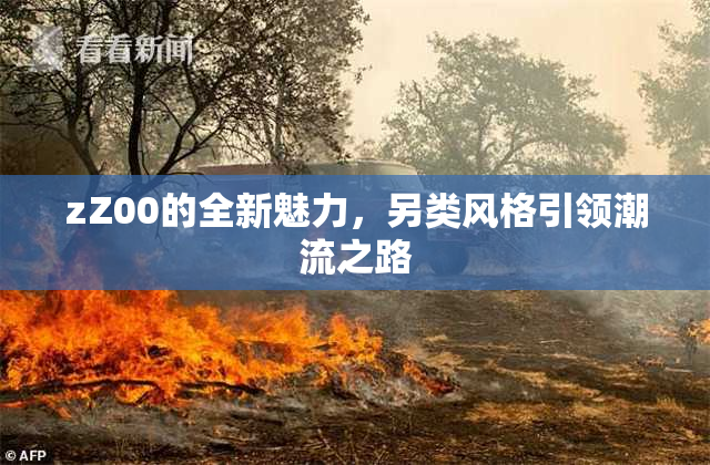 zZ00的全新魅力，另类风格引领潮流之路