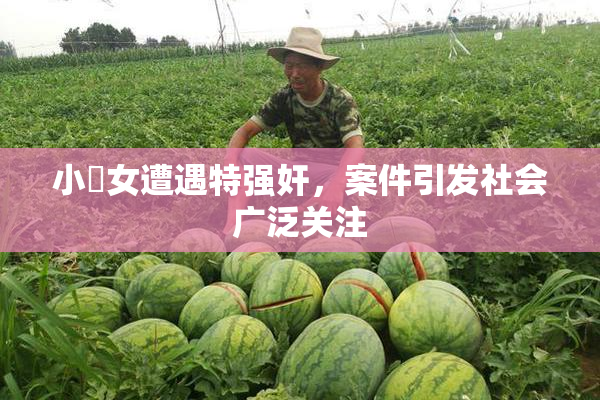小處女遭遇特强奸，案件引发社会广泛关注