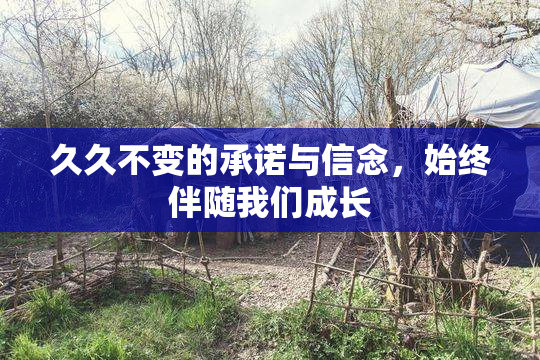 久久不变的承诺与信念，始终伴随我们成长