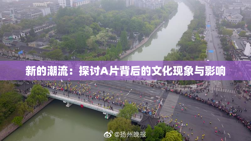 新的潮流：探讨A片背后的文化现象与影响