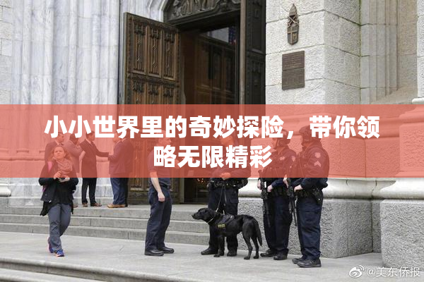 小小世界里的奇妙探险，带你领略无限精彩