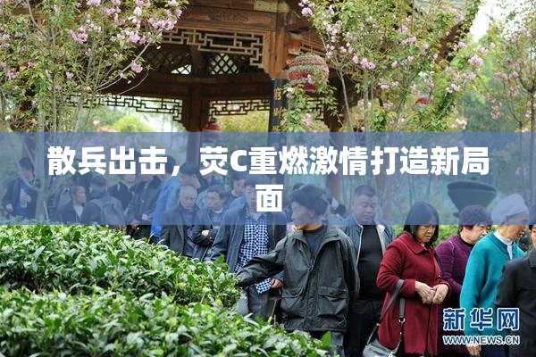 散兵出击，荧C重燃激情打造新局面
