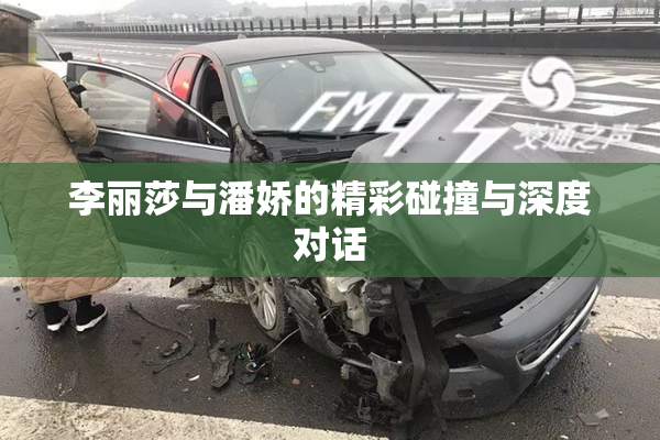 李丽莎与潘娇的精彩碰撞与深度对话