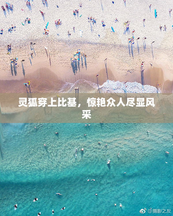 灵狐穿上比基，惊艳众人尽显风采