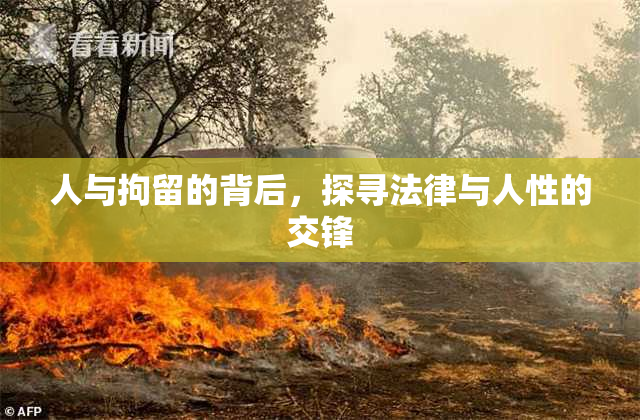人与拘留的背后，探寻法律与人性的交锋