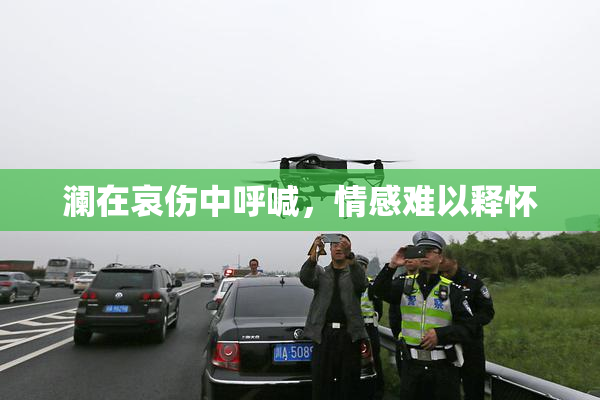 澜在哀伤中呼喊，情感难以释怀