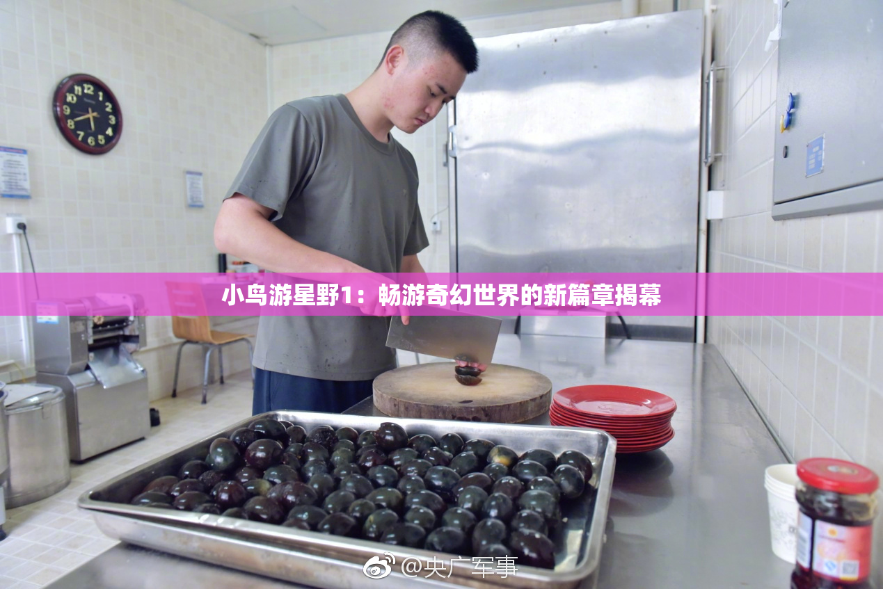 小鸟游星野1：畅游奇幻世界的新篇章揭幕