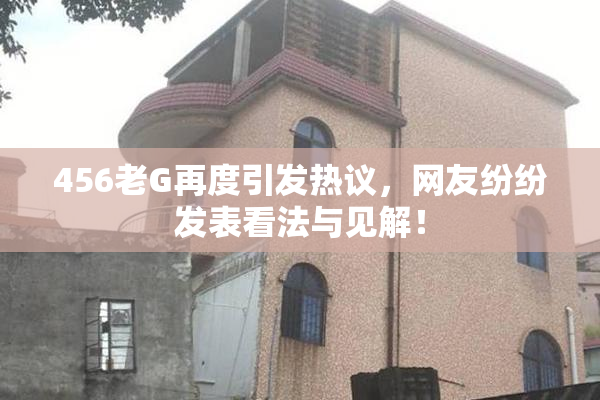 456老G再度引发热议，网友纷纷发表看法与见解！