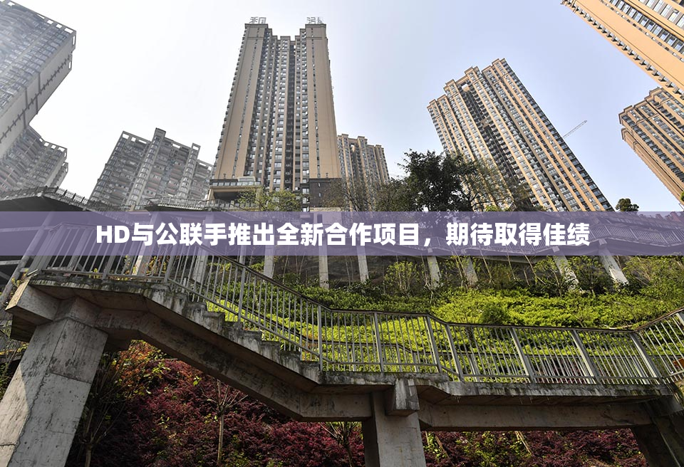 HD与公联手推出全新合作项目，期待取得佳绩
