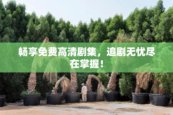 畅享免费高清剧集，追剧无忧尽在掌握！