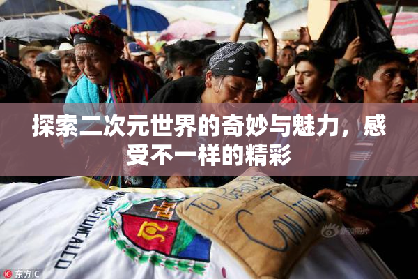 探索二次元世界的奇妙与魅力，感受不一样的精彩