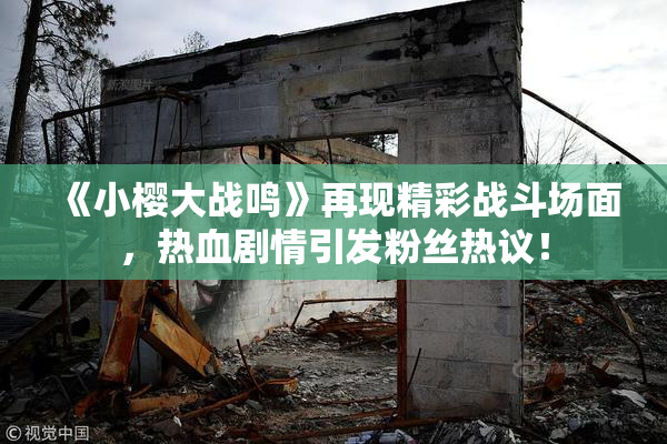 《小樱大战鸣》再现精彩战斗场面，热血剧情引发粉丝热议！
