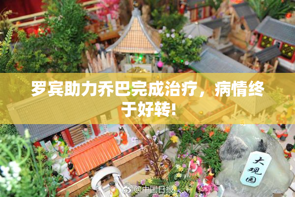 罗宾助力乔巴完成治疗，病情终于好转!
