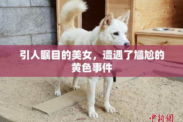 引人瞩目的美女，遭遇了尴尬的黄色事件
