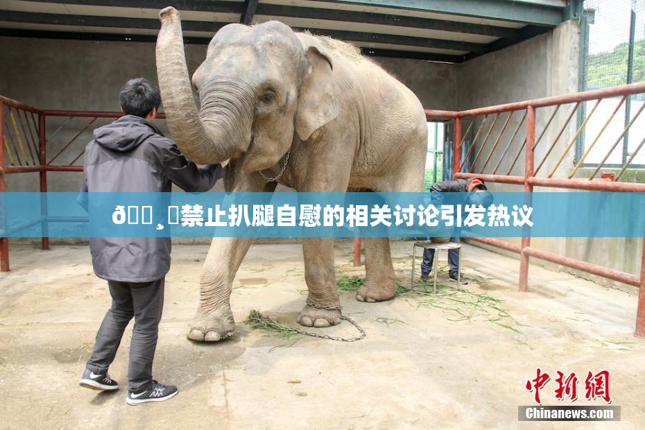 🌸‌禁止扒腿自慰的相关讨论引发热议