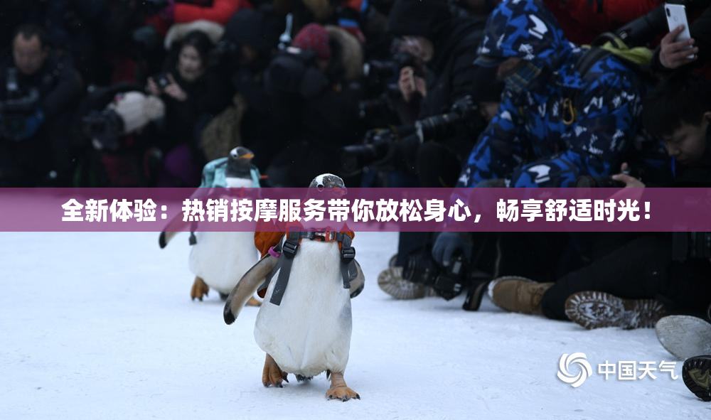 全新体验：热销按摩服务带你放松身心，畅享舒适时光！