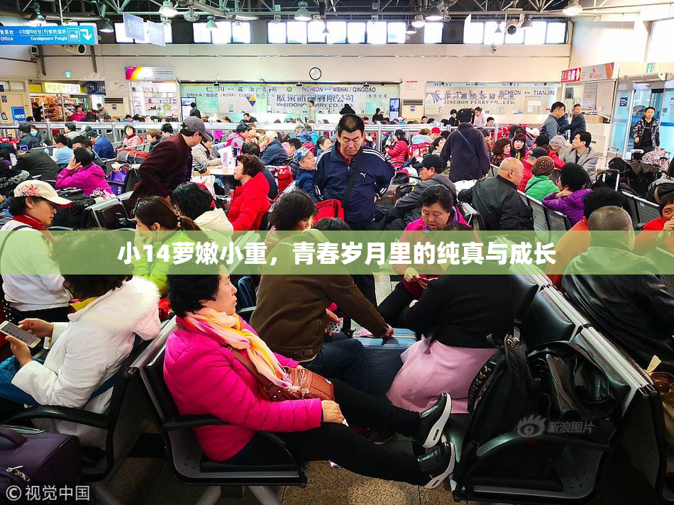小14萝嫩小重，青春岁月里的纯真与成长
