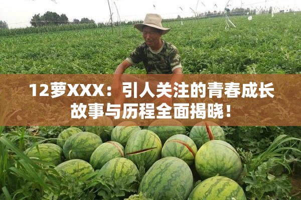 12萝XXX：引人关注的青春成长故事与历程全面揭晓！