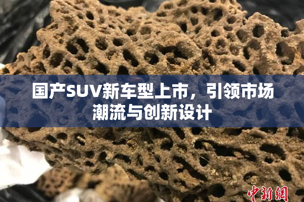 国产SUV新车型上市，引领市场潮流与创新设计