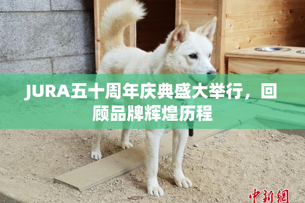 JURA五十周年庆典盛大举行，回顾品牌辉煌历程