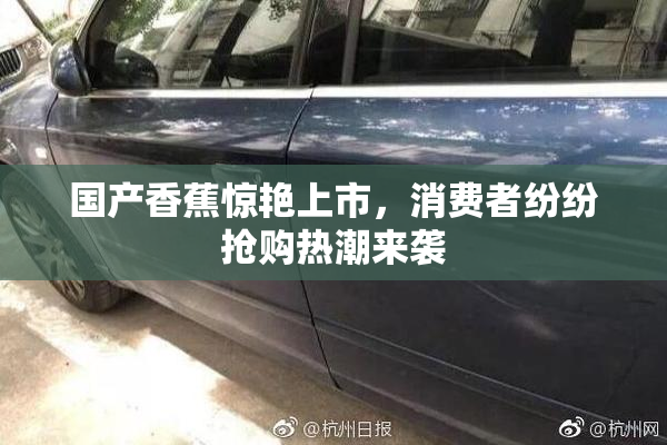 国产香蕉惊艳上市，消费者纷纷抢购热潮来袭