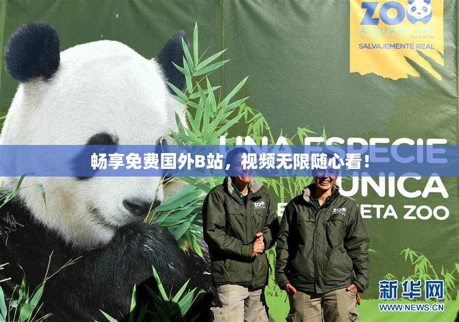 畅享免费国外B站，视频无限随心看！