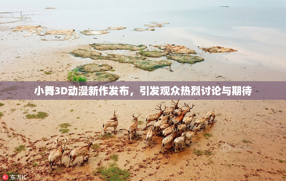 小舞3D动漫新作发布，引发观众热烈讨论与期待