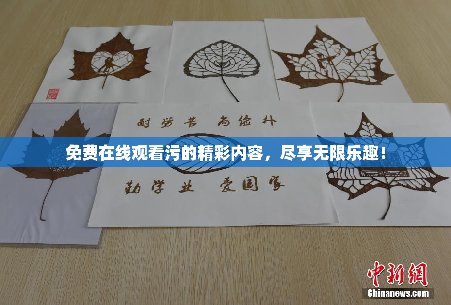 免费在线观看污的精彩内容，尽享无限乐趣！