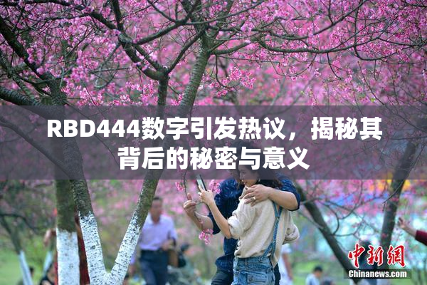 RBD444数字引发热议，揭秘其背后的秘密与意义