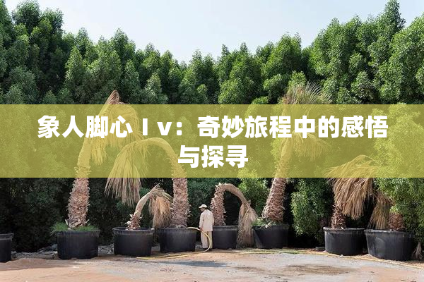 象人脚心Ⅰv：奇妙旅程中的感悟与探寻