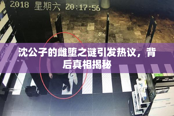 沈公子的雌堕之谜引发热议，背后真相揭秘
