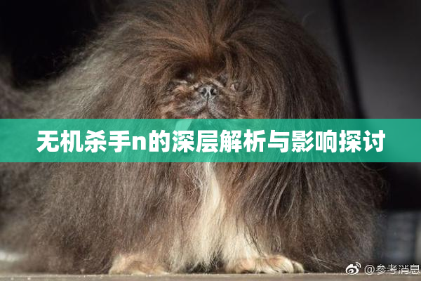 无机杀手n的深层解析与影响探讨