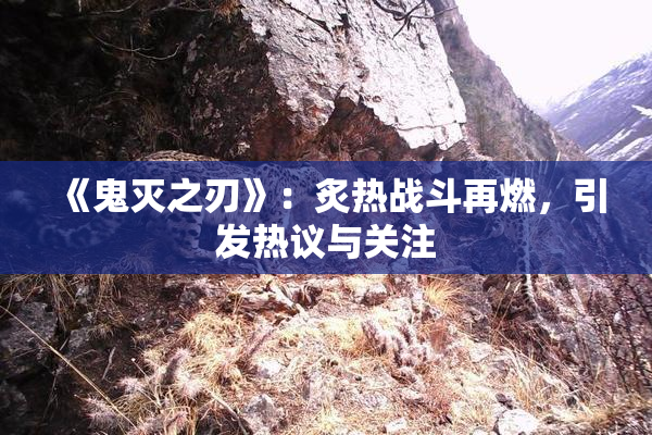 《鬼灭之刃》：炙热战斗再燃，引发热议与关注