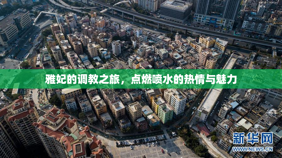 雅妃的调教之旅，点燃喷水的热情与魅力