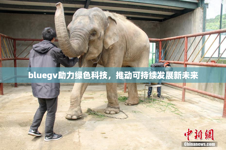 bluegv助力绿色科技，推动可持续发展新未来