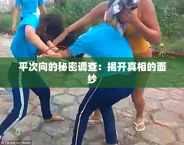 平次向的秘密调查：揭开真相的面纱