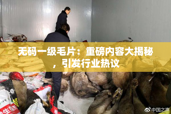 无码一级毛片：重磅内容大揭秘，引发行业热议