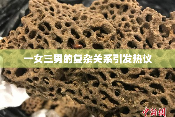 一女三男的复杂关系引发热议