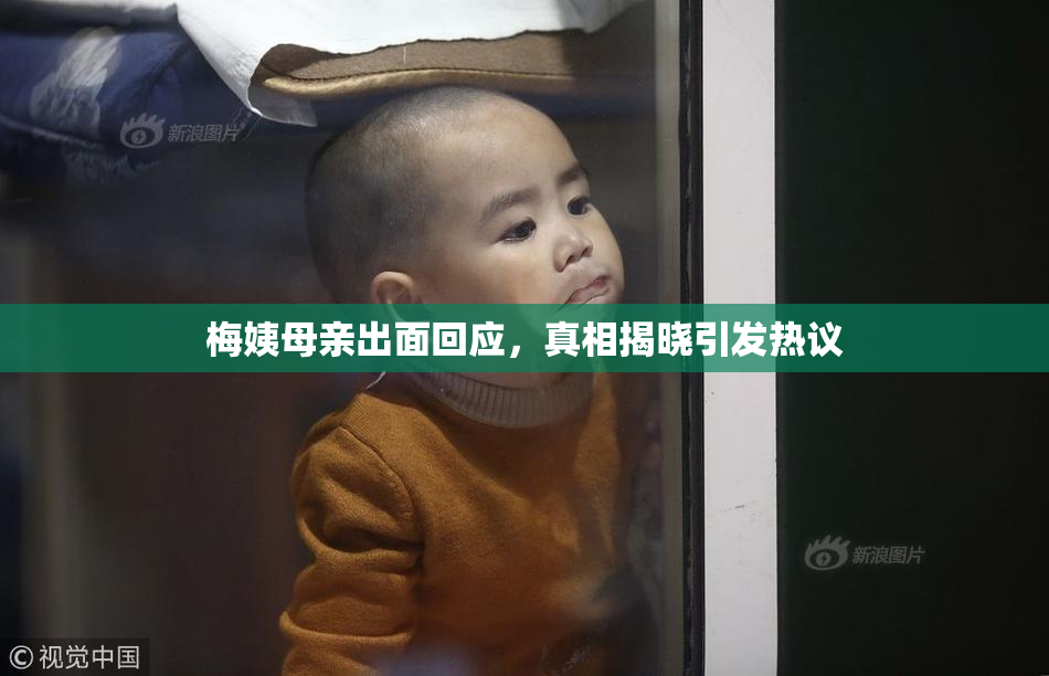 梅姨母亲出面回应，真相揭晓引发热议