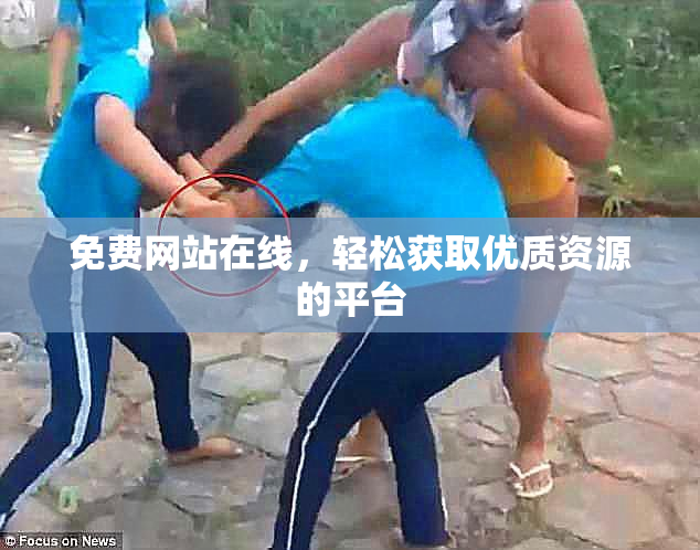 免费网站在线，轻松获取优质资源的平台