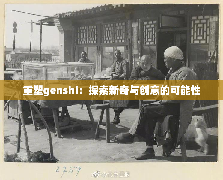 重塑genshi：探索新奇与创意的可能性