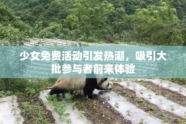 少女免费活动引发热潮，吸引大批参与者前来体验