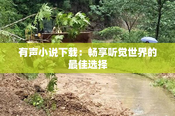 有声小说下载：畅享听觉世界的最佳选择