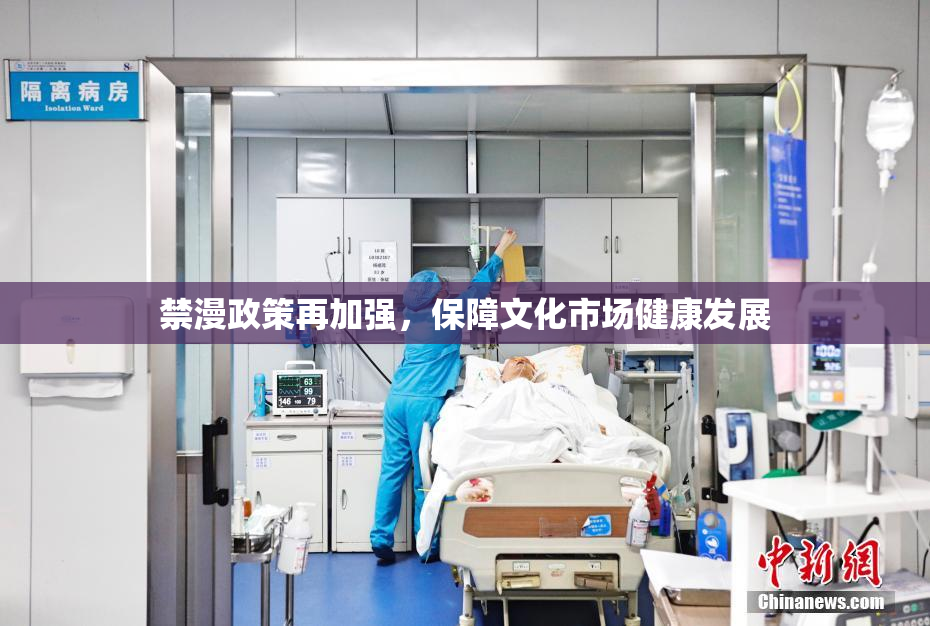 禁漫政策再加强，保障文化市场健康发展