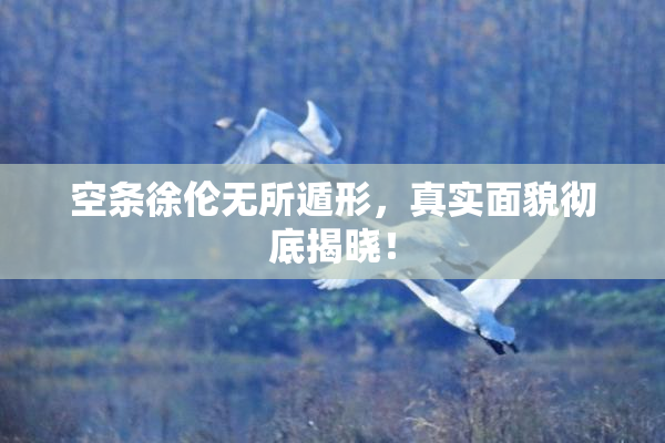 空条徐伦无所遁形，真实面貌彻底揭晓！