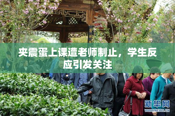 夹震蛋上课遭老师制止，学生反应引发关注