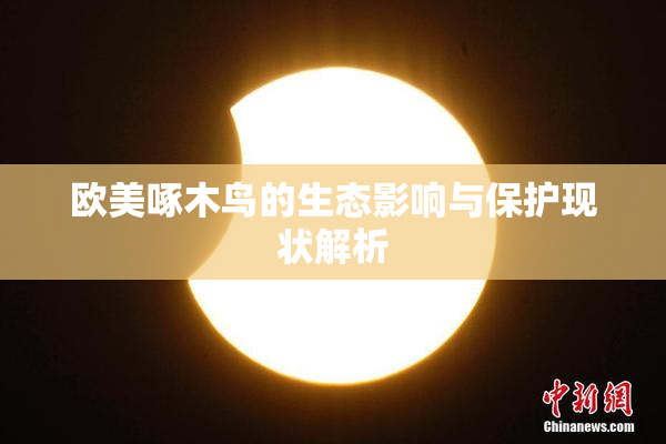 欧美啄木鸟的生态影响与保护现状解析