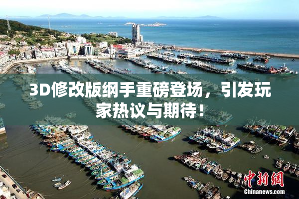 3D修改版纲手重磅登场，引发玩家热议与期待！