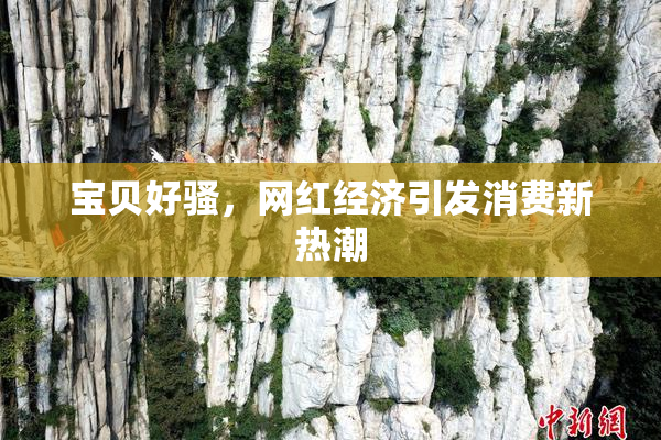 宝贝好骚，网红经济引发消费新热潮